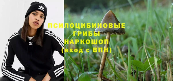 гашик Магадан