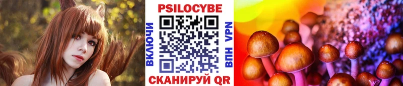 Галлюциногенные грибы прущие грибы  Купить где  Чадан 